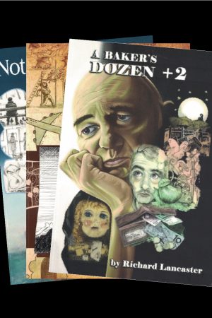 The Dozen Series